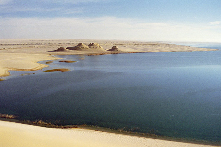 Egypt Fayoum Lake Quaroun_15b45_lg.jpg